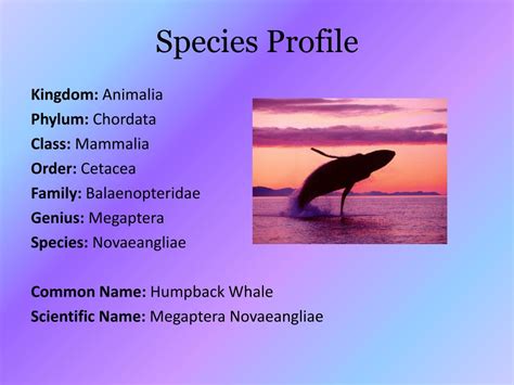Species Profile .